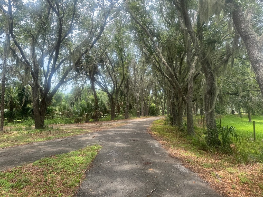11522 Dead River Road Tavares FL 32778 G5098717 image11