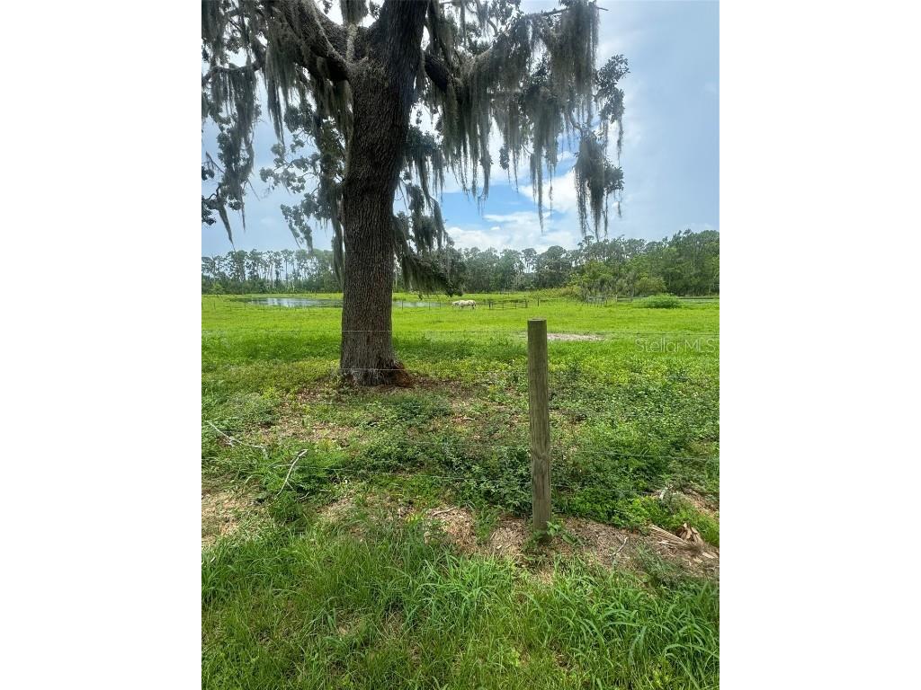 11522 Dead River Road Tavares FL 32778 G5098717 image14