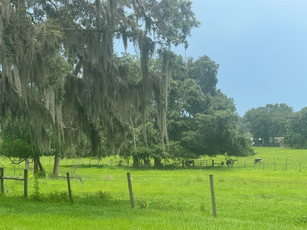 11522 Dead River Road Tavares FL 32778 G5098717 image15