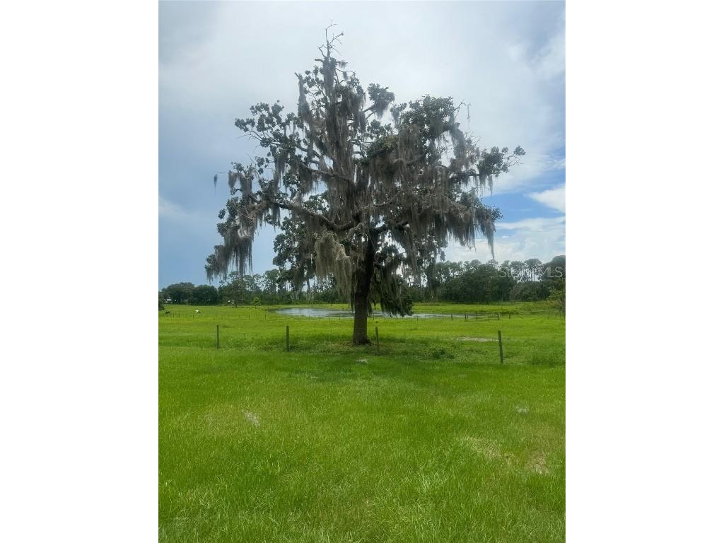 11522 Dead River Road Tavares FL 32778 G5098717 image16