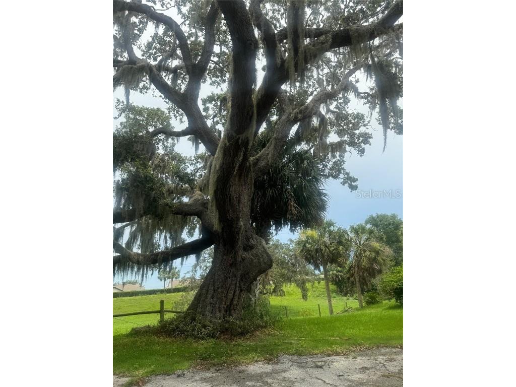 11522 Dead River Road Tavares FL 32778 G5098717 image17