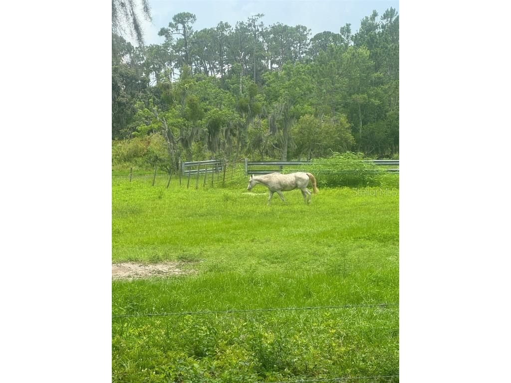 11522 Dead River Road Tavares FL 32778 G5098717 image18