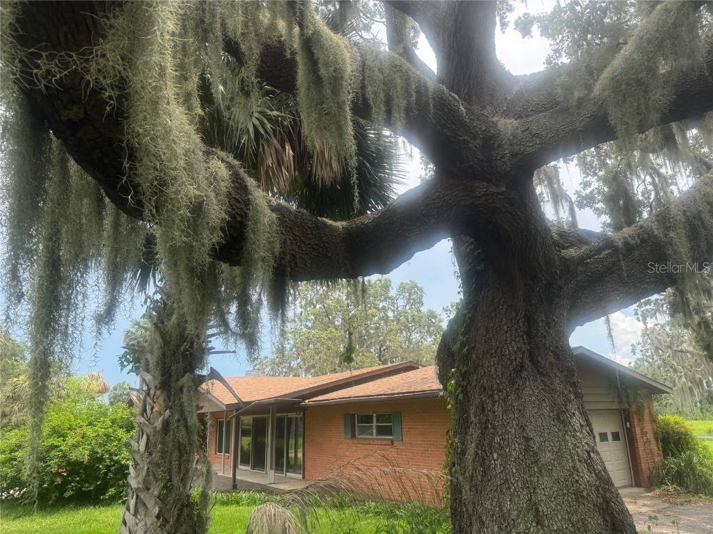 11522 Dead River Road Tavares FL 32778 G5098717 image19