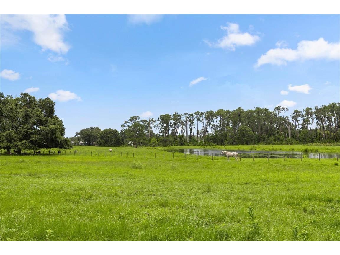 11522 Dead River Road Tavares FL 32778 G5098717 image9