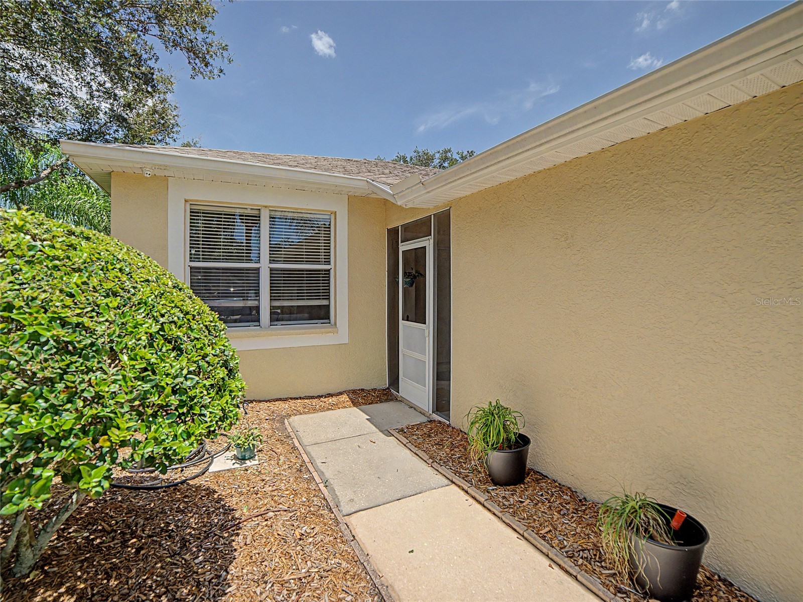 11523 Captiva Kay Drive Riverview FL 33569 TB8532267 image3