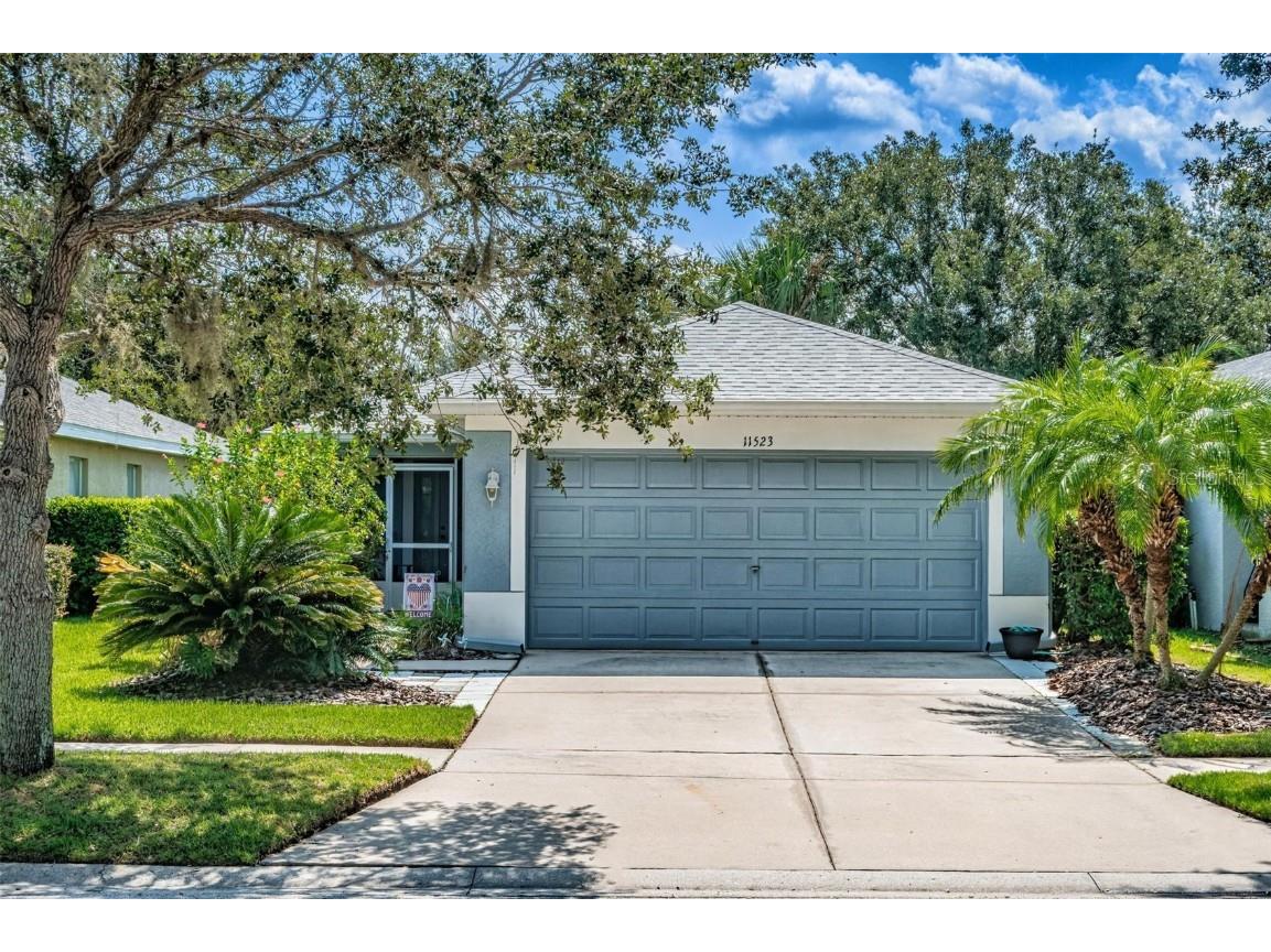 11523 Crestlake Village Drive Riverview FL 33569 T3464150 image1