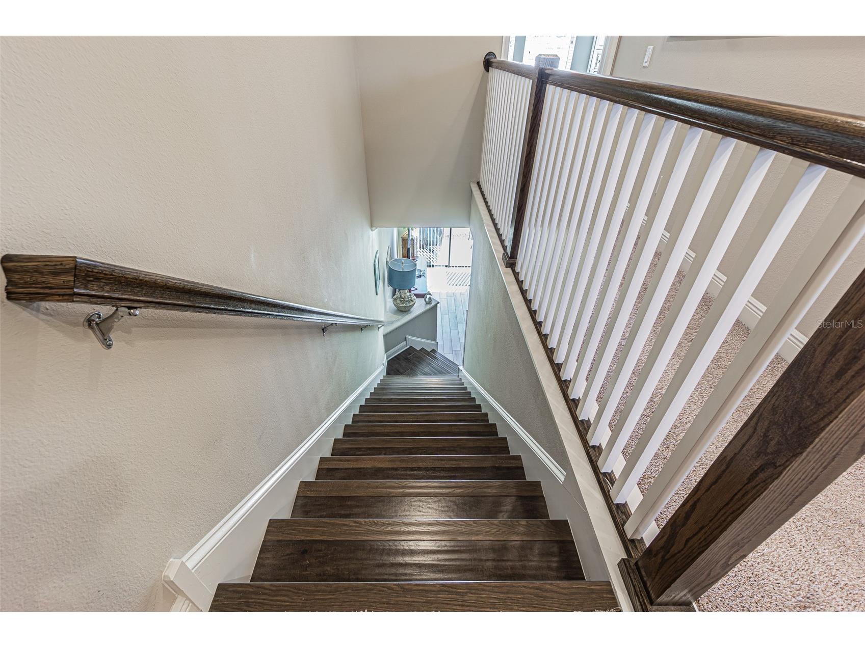 11523 Crowned Sparrow Lane #3/7 Tampa FL 33626 TB8499771 image9