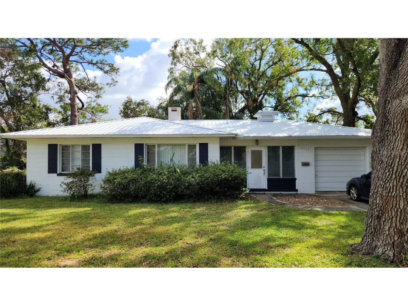 11523 Forest Hills Drive Tampa FL 33612 TB8325440 image1