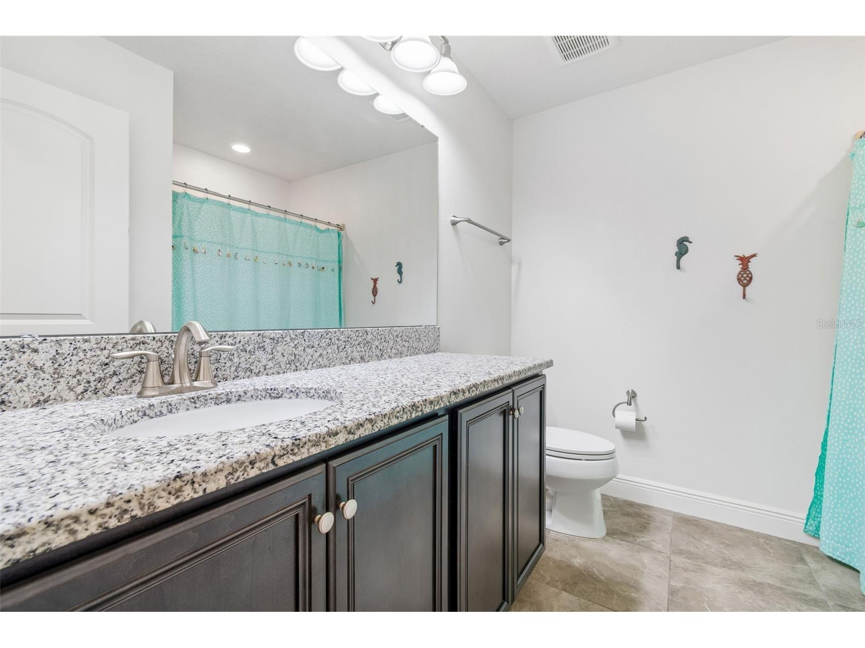 11523 Luckygem Drive Riverview FL 33579 TB8511347 image33