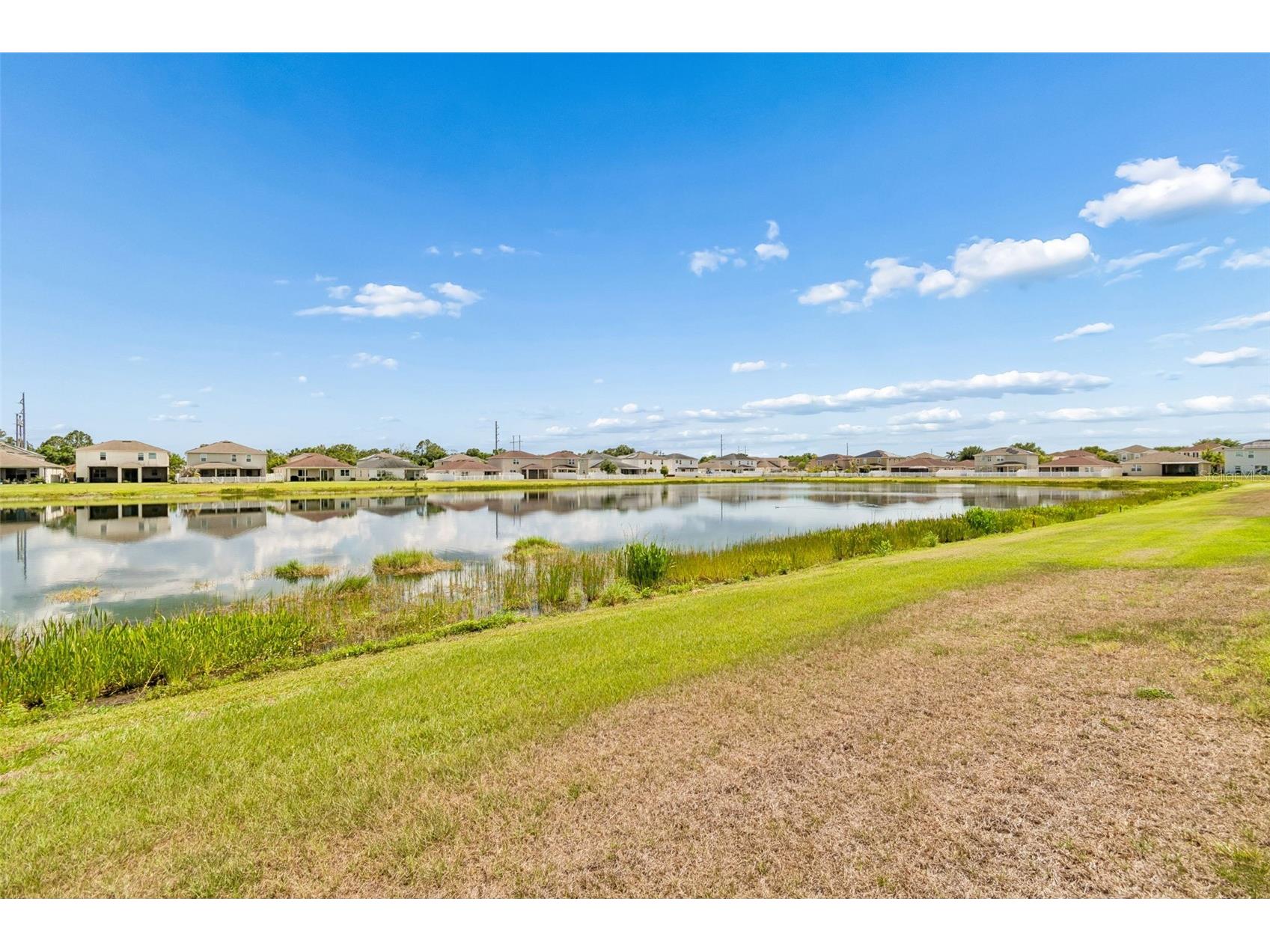 11523 Luckygem Drive Riverview FL 33579 TB8511347 image44