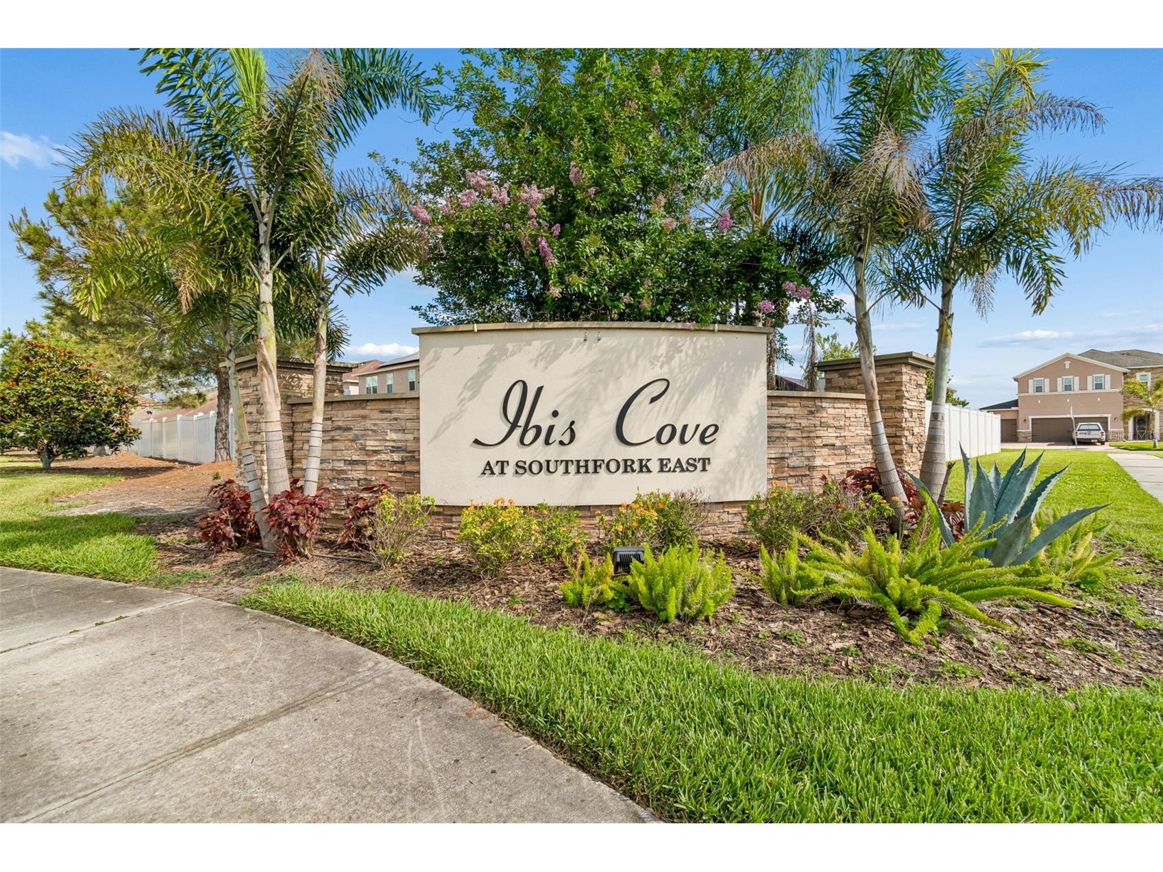 11523 Luckygem Drive Riverview FL 33579 TB8511347 image49
