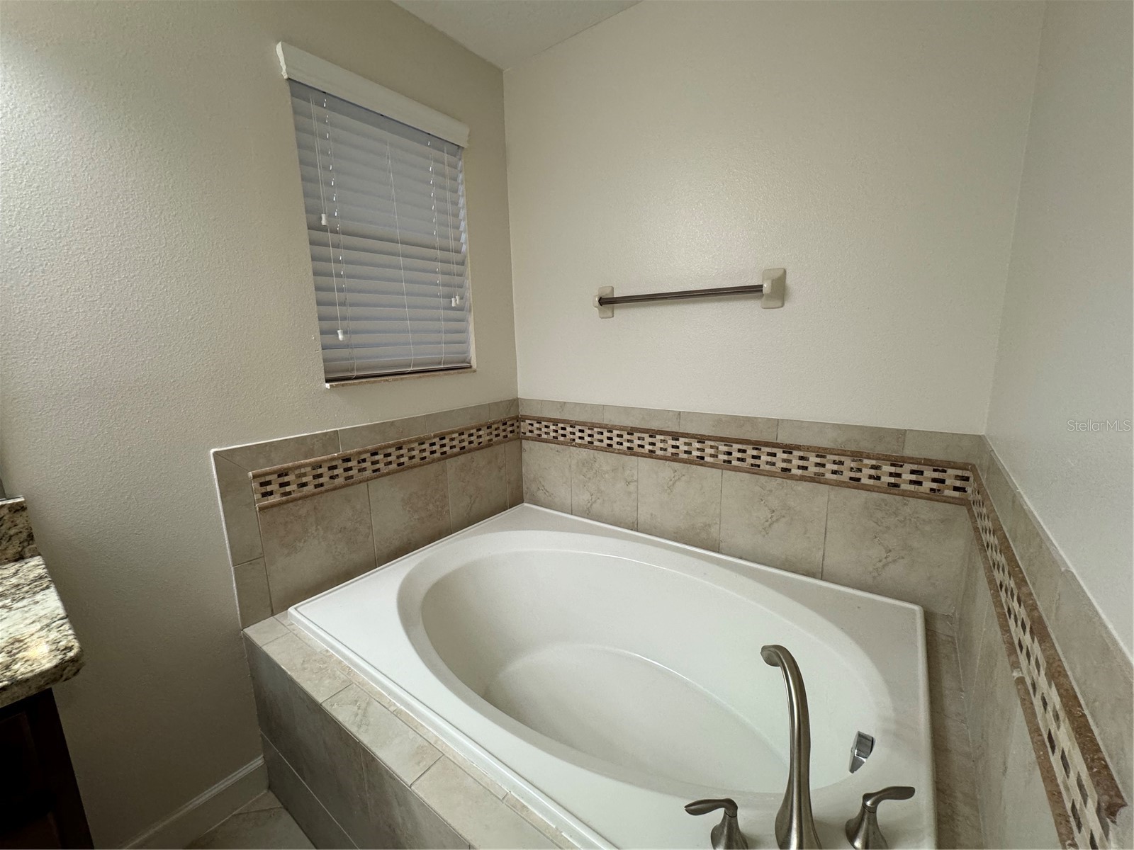 11523 Peru Springs Place Riverview FL 33569 TB8500584 image31