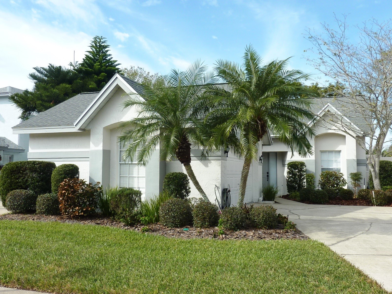 11524 Pumpkin Seed Court Orlando FL 32821 O6394165 image1