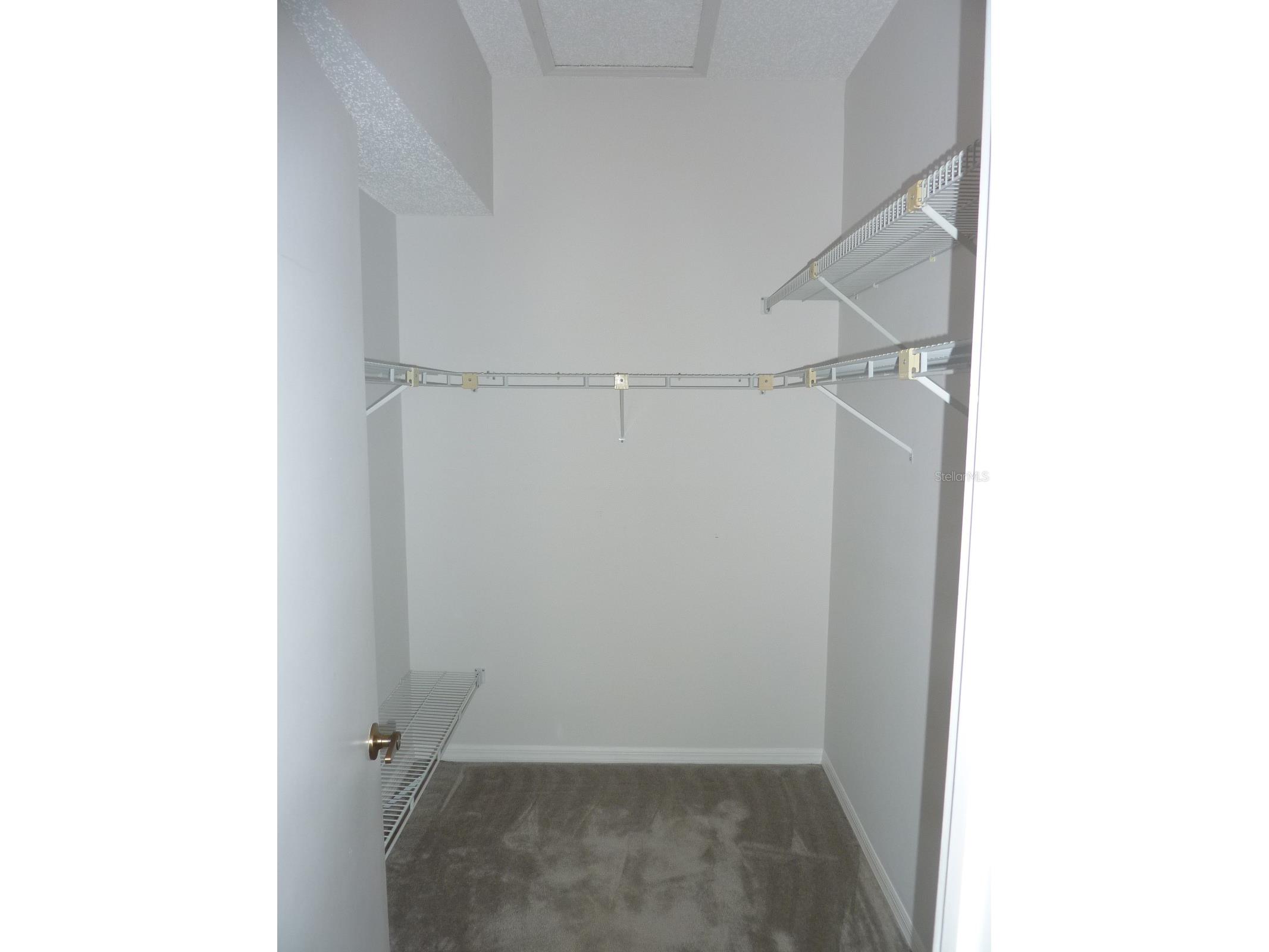 11524 Pumpkin Seed Court Orlando FL 32821 O6394165 image16