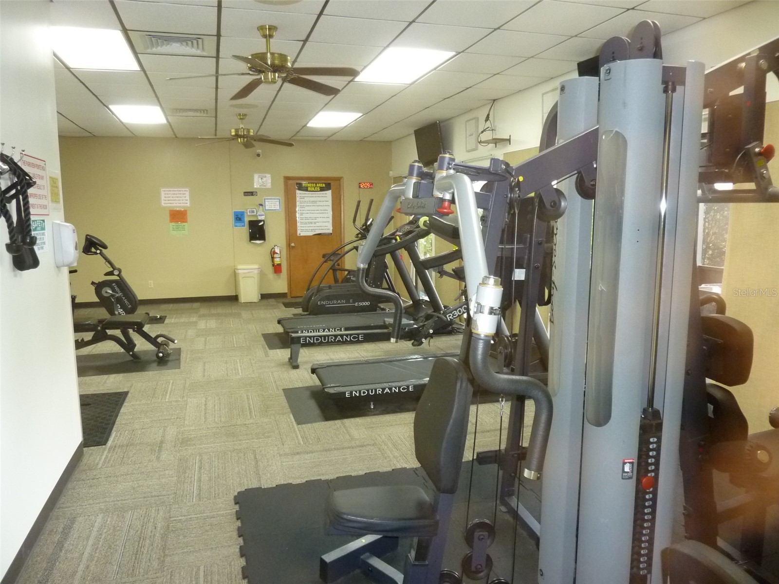 11524 Pumpkin Seed Court Orlando FL 32821 O6394165 image37