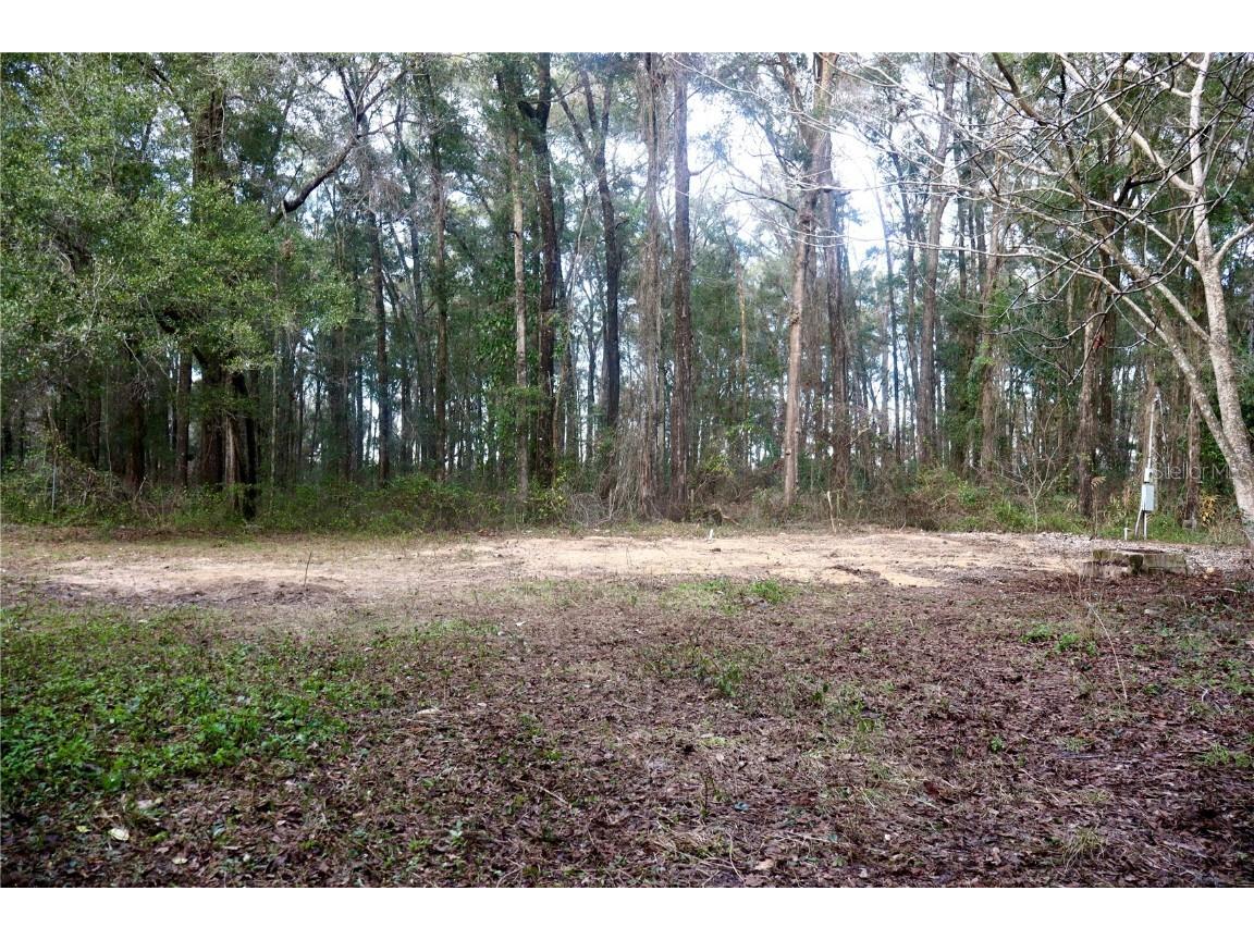 11524 Sage Boulevard Alachua FL 32615 GC518617 image1