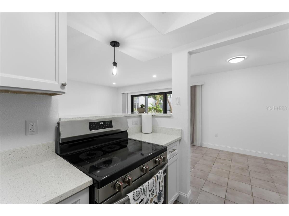 11525 8th Way N #509 Saint Petersburg FL 33716 TB8516460 image5