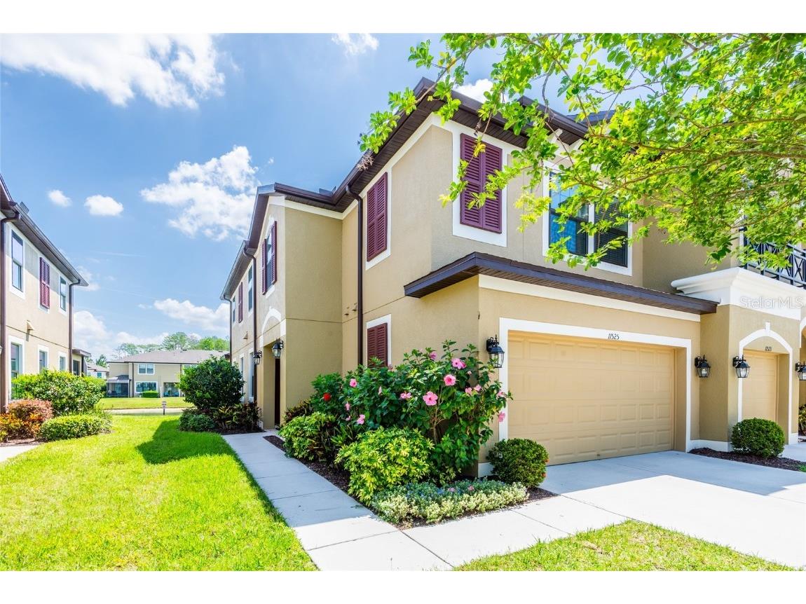 11525 Crowned Sparrow Lane Tampa FL 33626 T3437476 image1