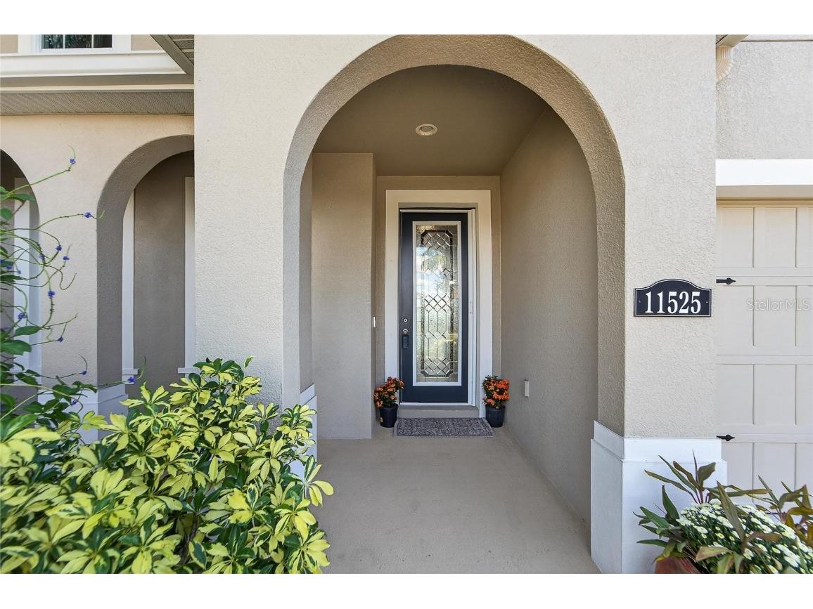 11525 Lake Lucaya Drive Riverview FL 33579 - LUCAYA LAKE TB8440110 image5