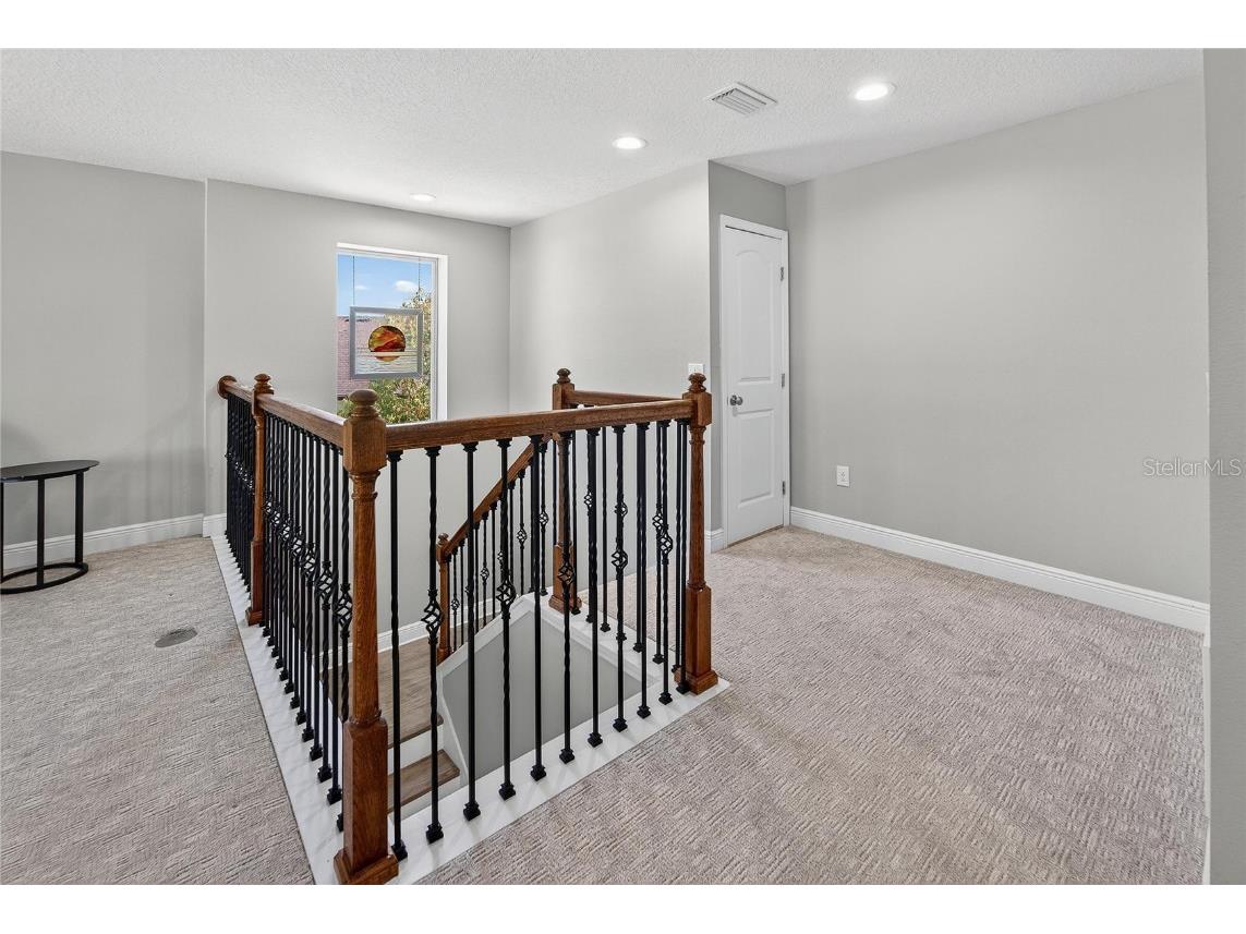 11525 Lake Lucaya Drive Riverview FL 33579 - LUCAYA LAKE TB8440110 image53