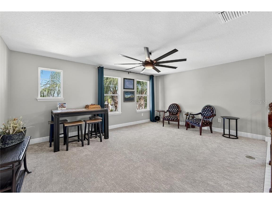 11525 Lake Lucaya Drive Riverview FL 33579 - LUCAYA LAKE TB8440110 image55