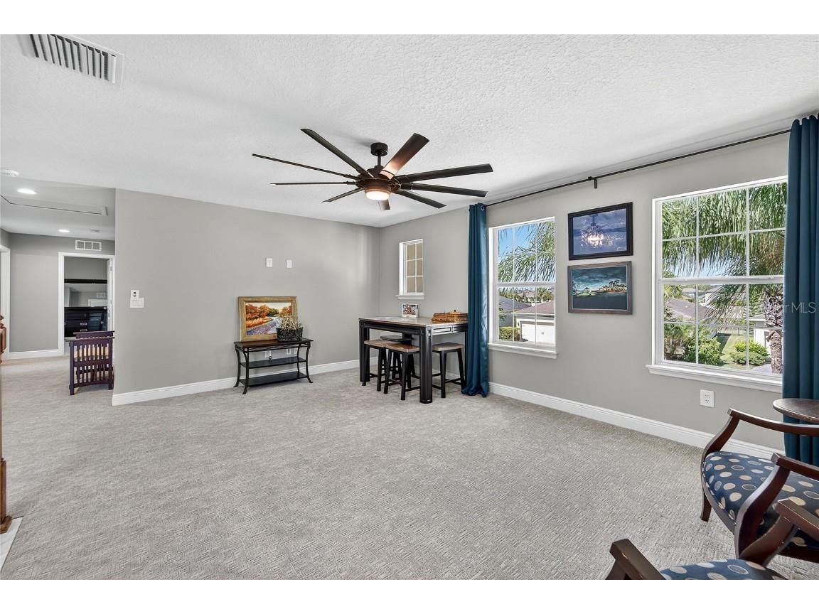 11525 Lake Lucaya Drive Riverview FL 33579 - LUCAYA LAKE TB8440110 image56