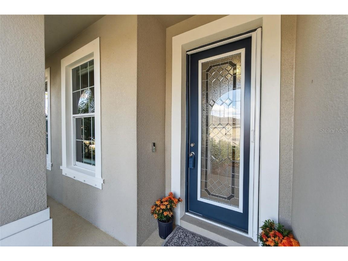 11525 Lake Lucaya Drive Riverview FL 33579 - LUCAYA LAKE TB8440110 image6