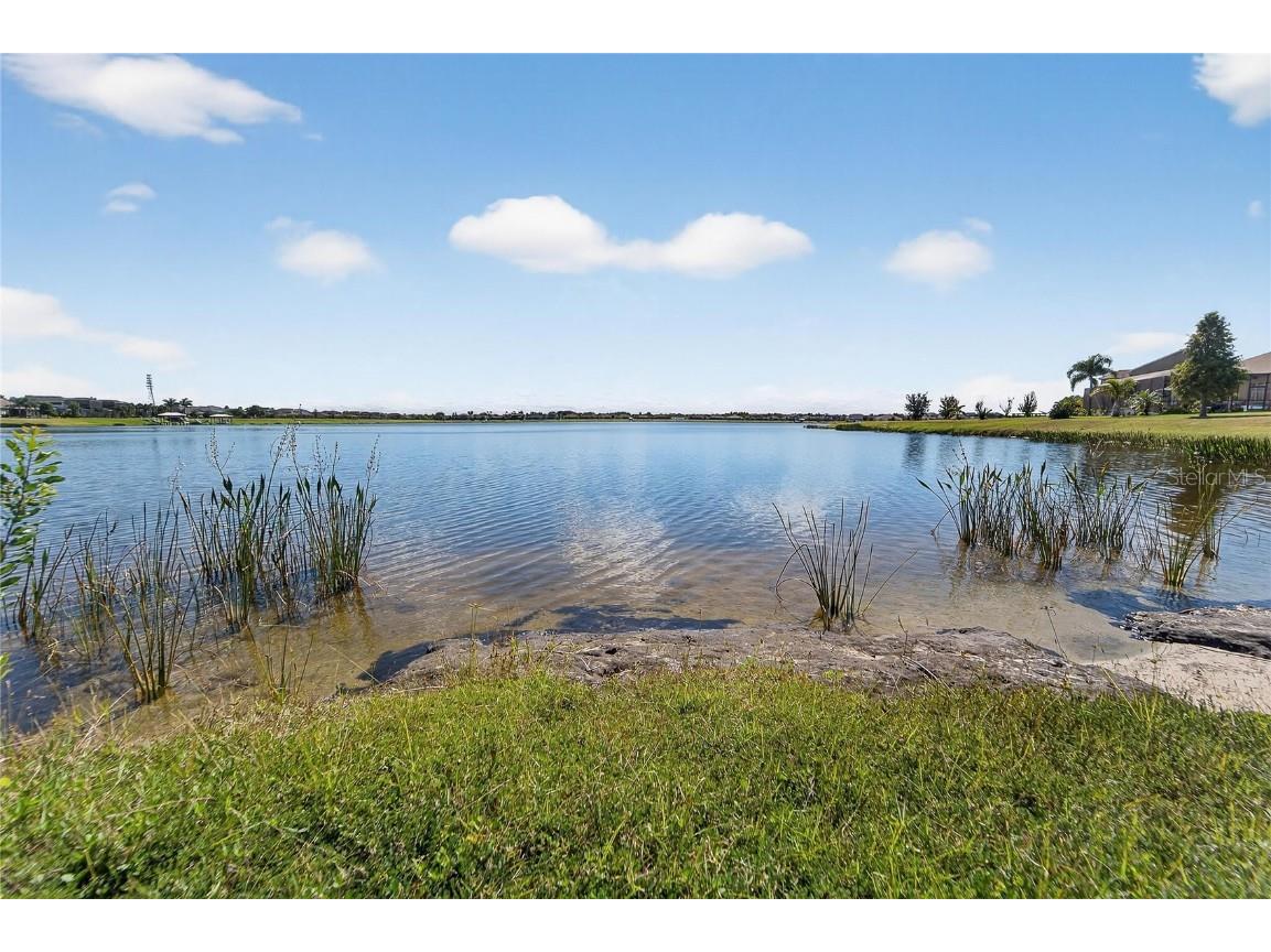 11525 Lake Lucaya Drive Riverview FL 33579 - LUCAYA LAKE TB8440110 image76