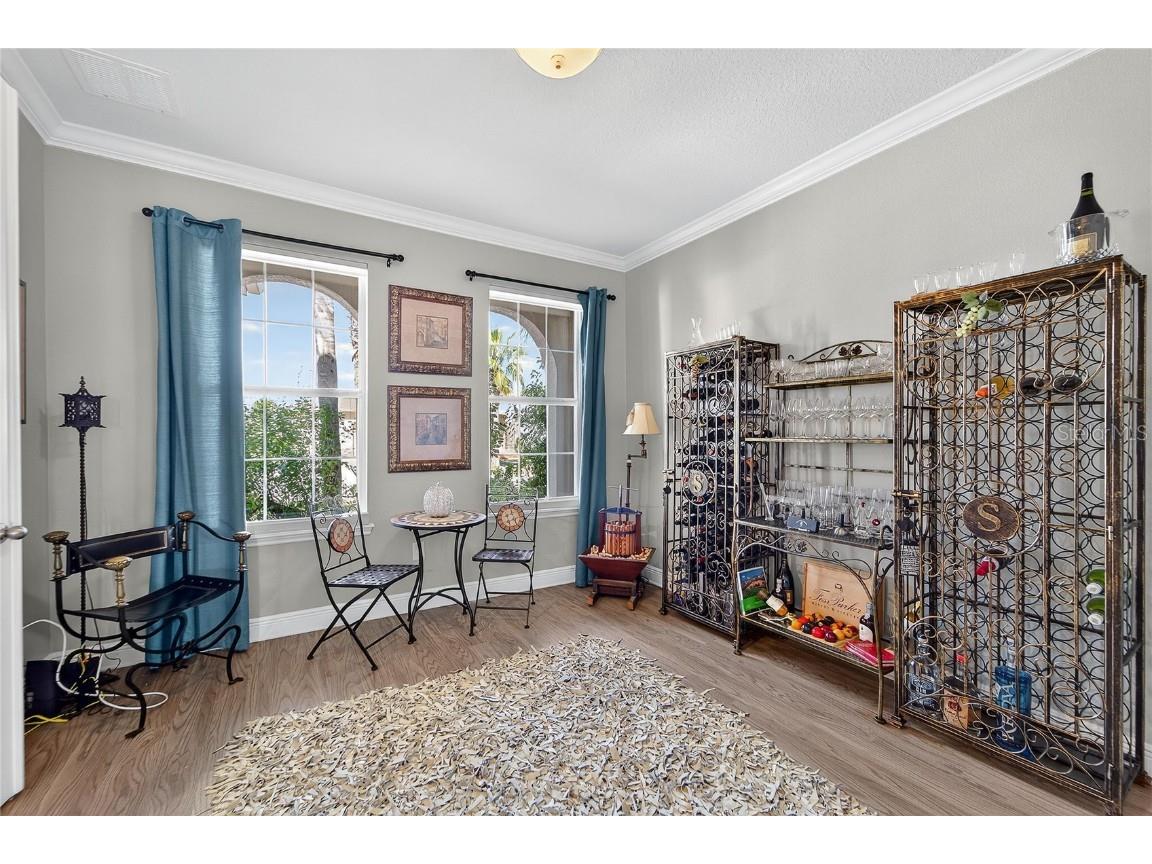 11525 Lake Lucaya Drive Riverview FL 33579 - LUCAYA LAKE TB8440110 image9