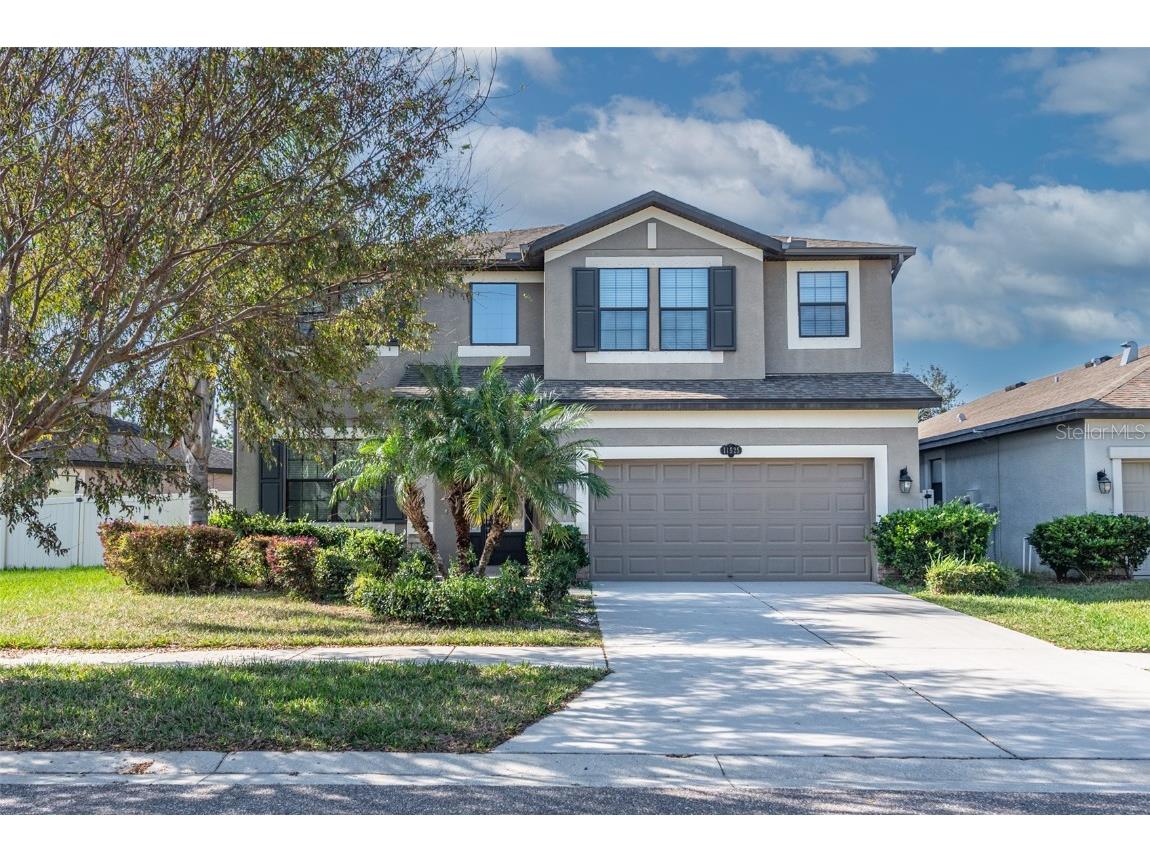 11525 Scarlet Ibis Place Riverview FL 33569 TB8379547 image1