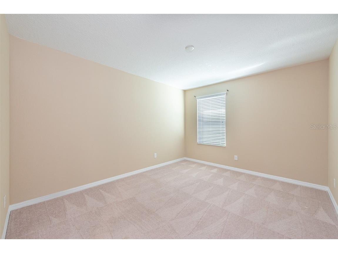 11525 Scarlet Ibis Place Riverview FL 33569 TB8379547 image27