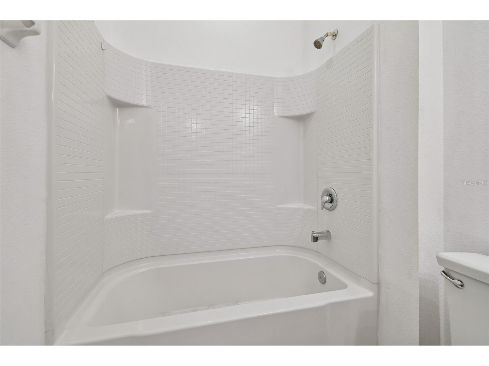 11525 Storywood Drive Riverview FL 33578 TB8474945 image24