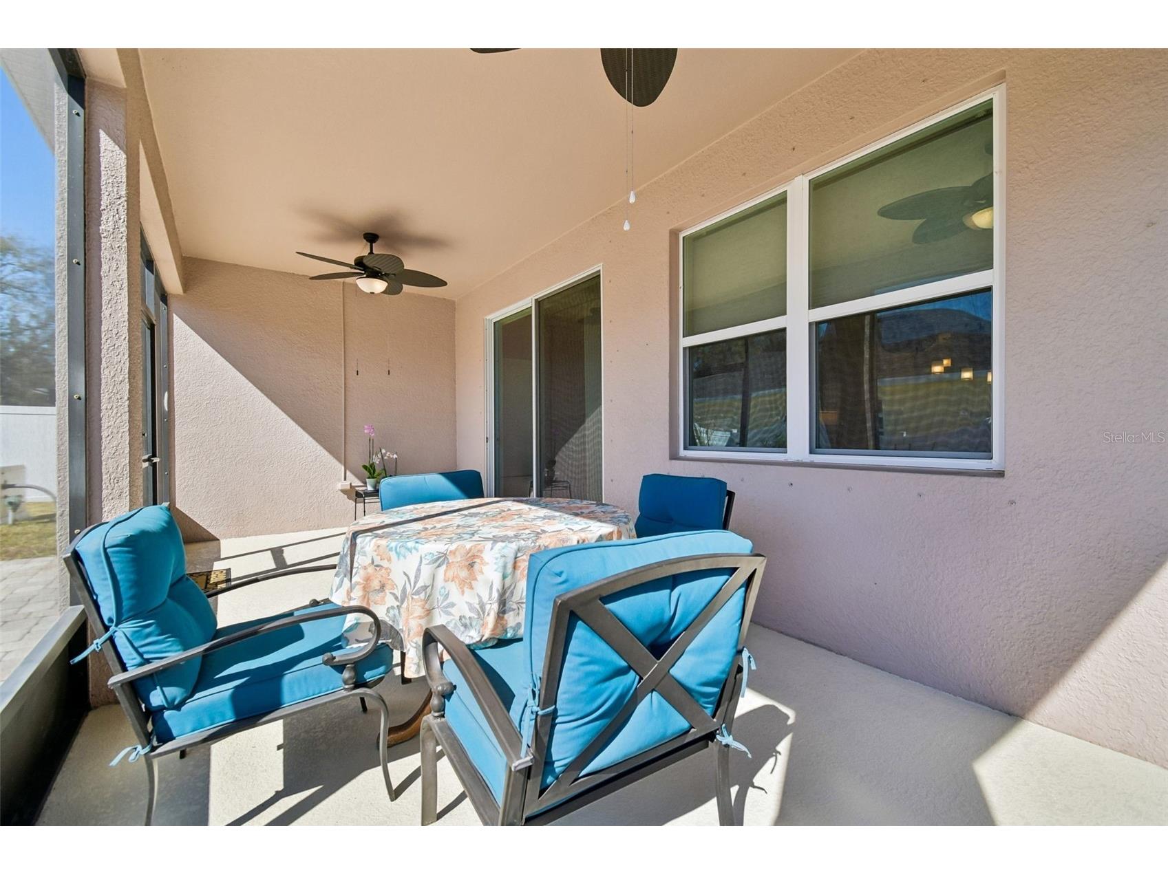 11525 Storywood Drive Riverview FL 33578 TB8474945 image31