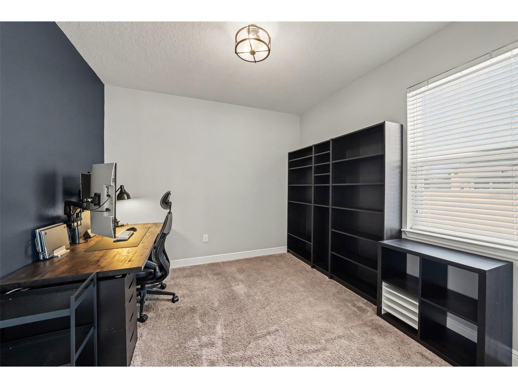 11526 Navel Orange Way Tampa FL 33626 TB8527081 image23