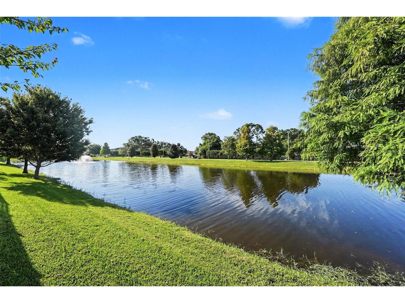 11526 Navel Orange Way Tampa FL 33626 TB8527081 image5