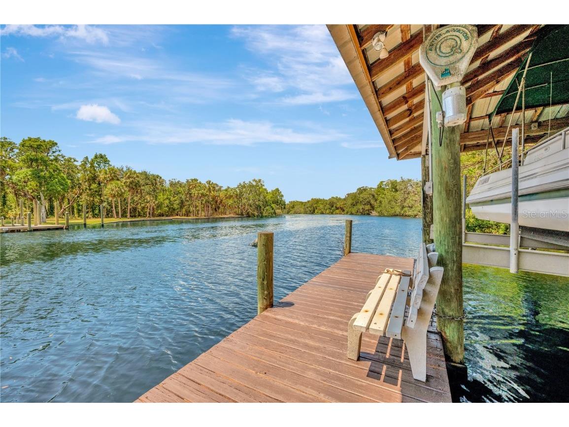 11526 River Country Drive Riverview FL 33569 - ALAFIA RIVER TAMPA BAY WATERS TB8433306 image1