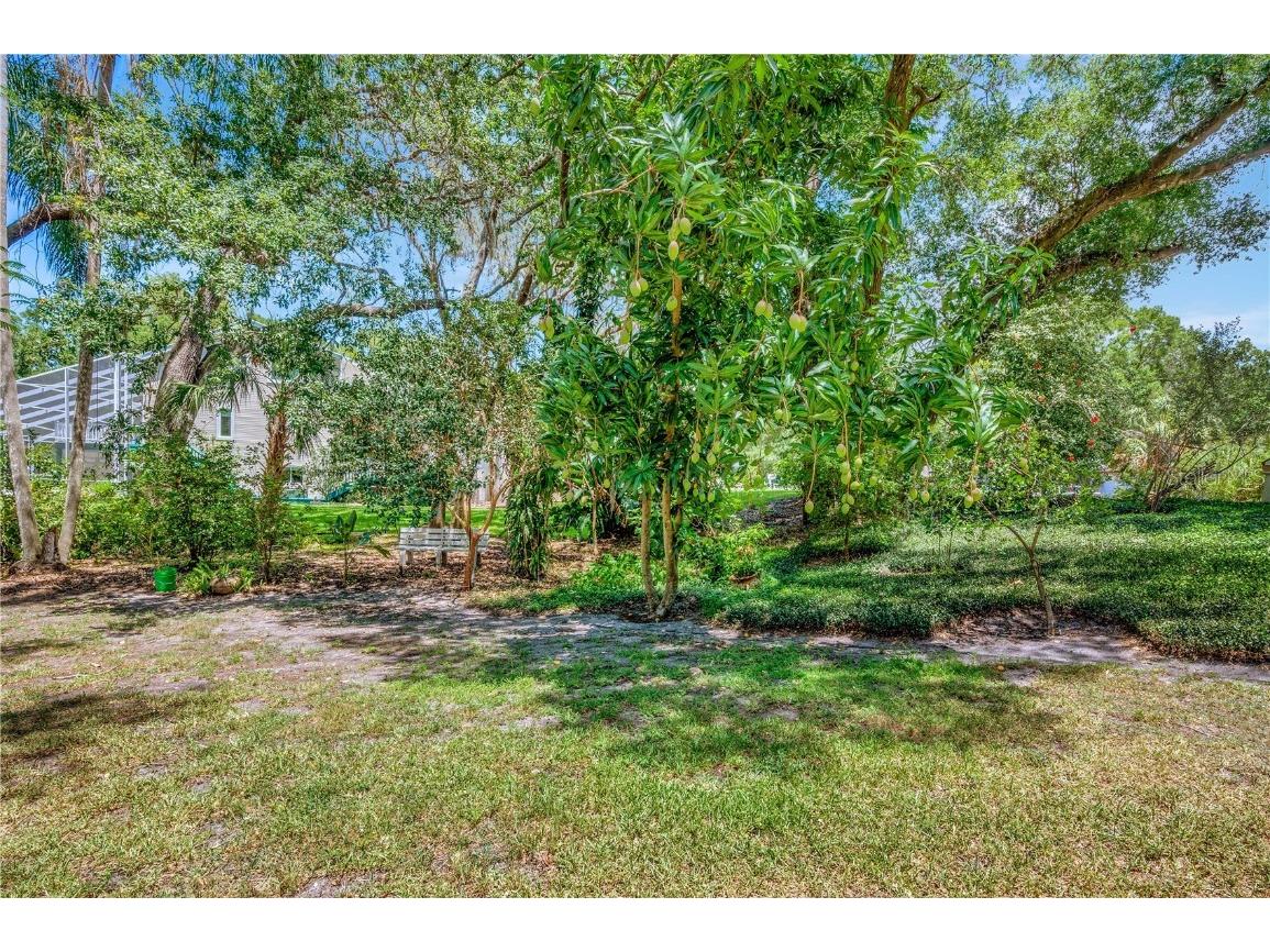 11526 River Country Drive Riverview FL 33569 - ALAFIA RIVER TAMPA BAY WATERS TB8433306 image10