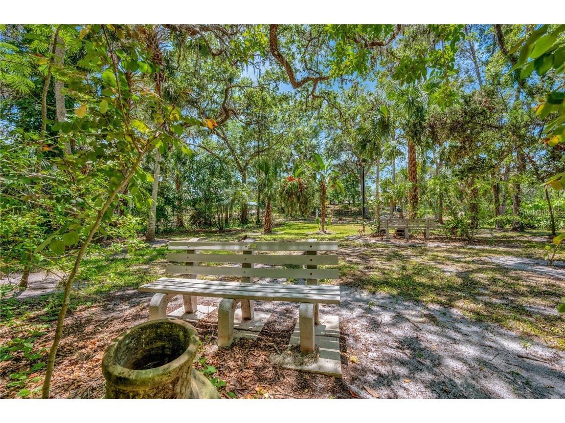 11526 River Country Drive Riverview FL 33569 - ALAFIA RIVER TAMPA BAY WATERS TB8433306 image11