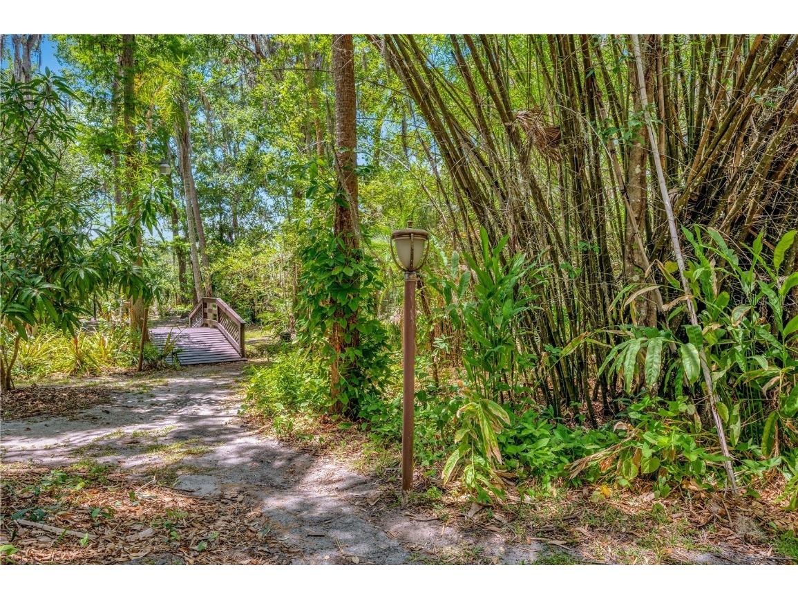 11526 River Country Drive Riverview FL 33569 - ALAFIA RIVER TAMPA BAY WATERS TB8433306 image12