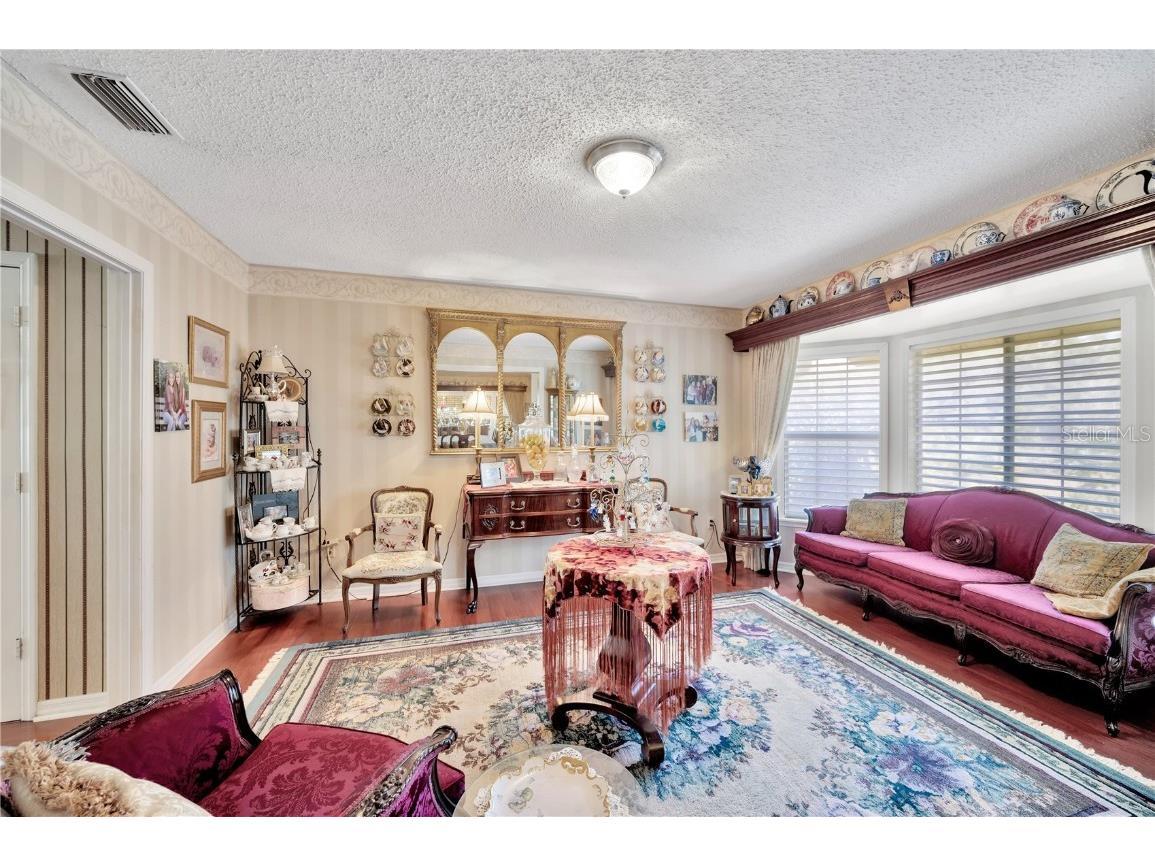 11526 River Country Drive Riverview FL 33569 - ALAFIA RIVER TAMPA BAY WATERS TB8433306 image18