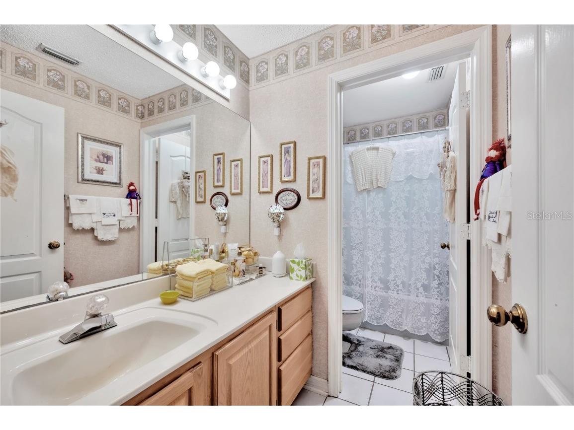 11526 River Country Drive Riverview FL 33569 - ALAFIA RIVER TAMPA BAY WATERS TB8433306 image21