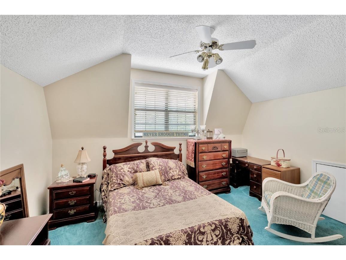 11526 River Country Drive Riverview FL 33569 - ALAFIA RIVER TAMPA BAY WATERS TB8433306 image27