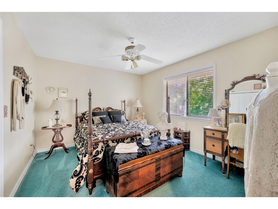 11526 River Country Drive Riverview FL 33569 - ALAFIA RIVER TAMPA BAY WATERS TB8433306 image29