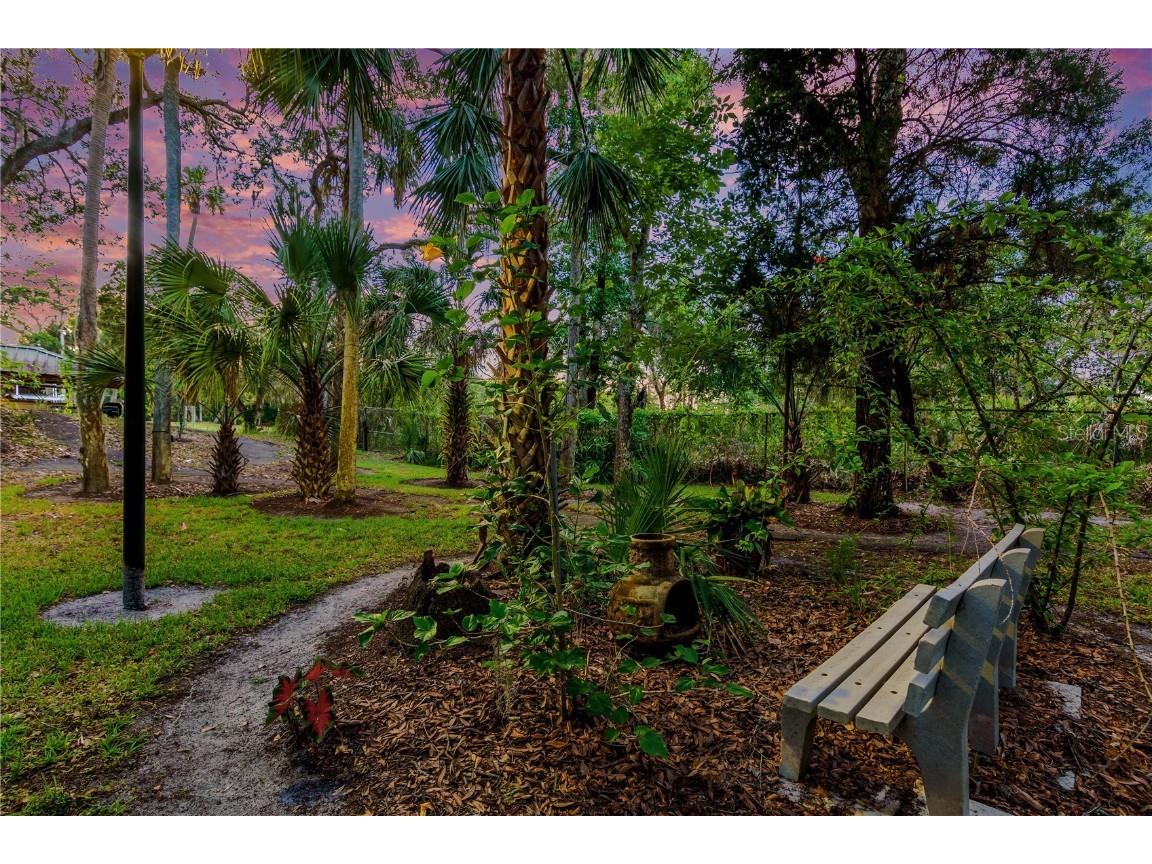 11526 River Country Drive Riverview FL 33569 - ALAFIA RIVER TAMPA BAY WATERS TB8433306 image43