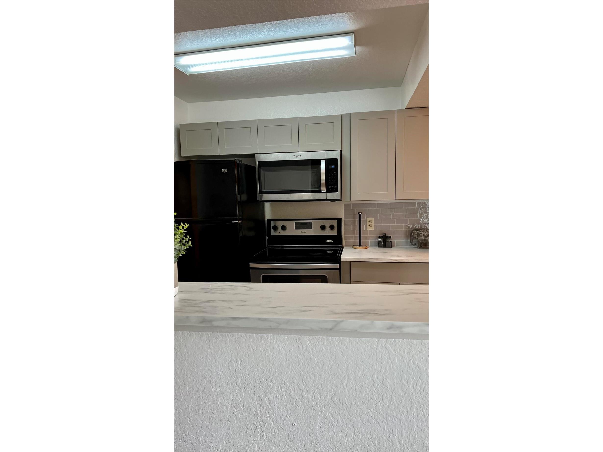 11526 Westwood Boulevard #723 Orlando FL 32821 O6400884 image4