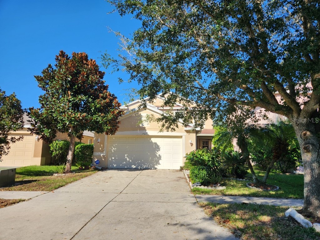 11527 Hammocks Glade Drive Riverview FL 33569 O6065935 image1