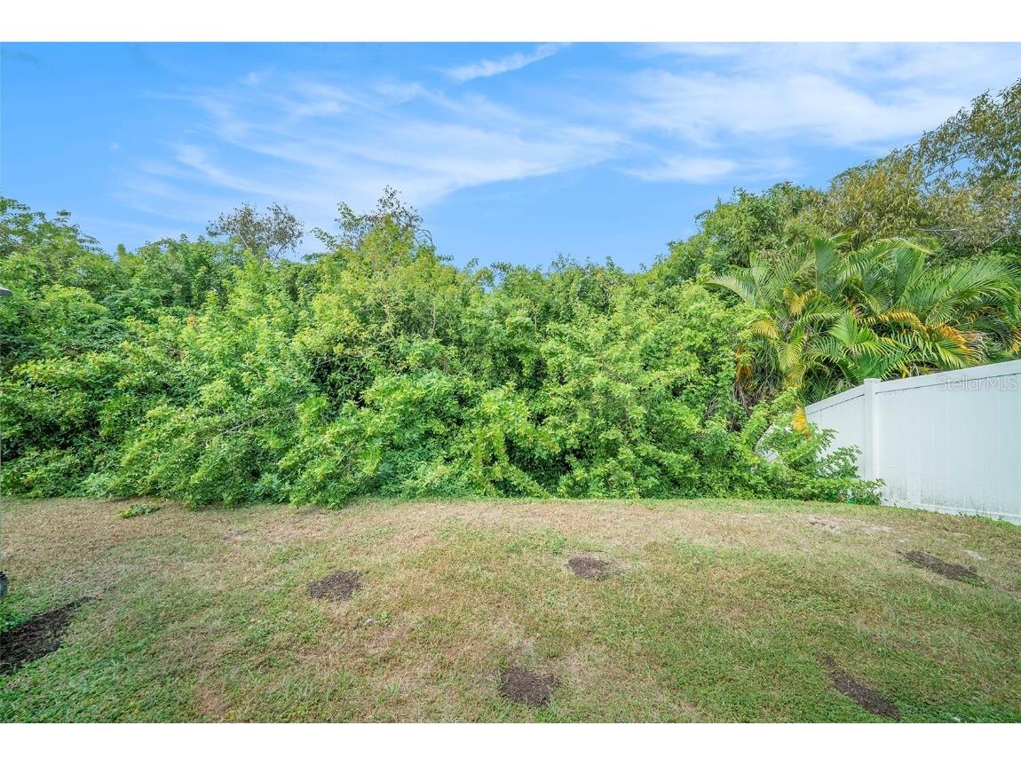 11527 Southern Creek Drive Gibsonton FL 33534 TB8368048 image23