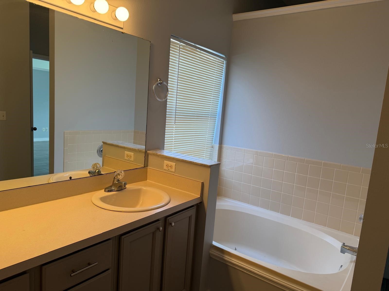 11527 Wingham Court Orlando FL 32837 S5145443 image10