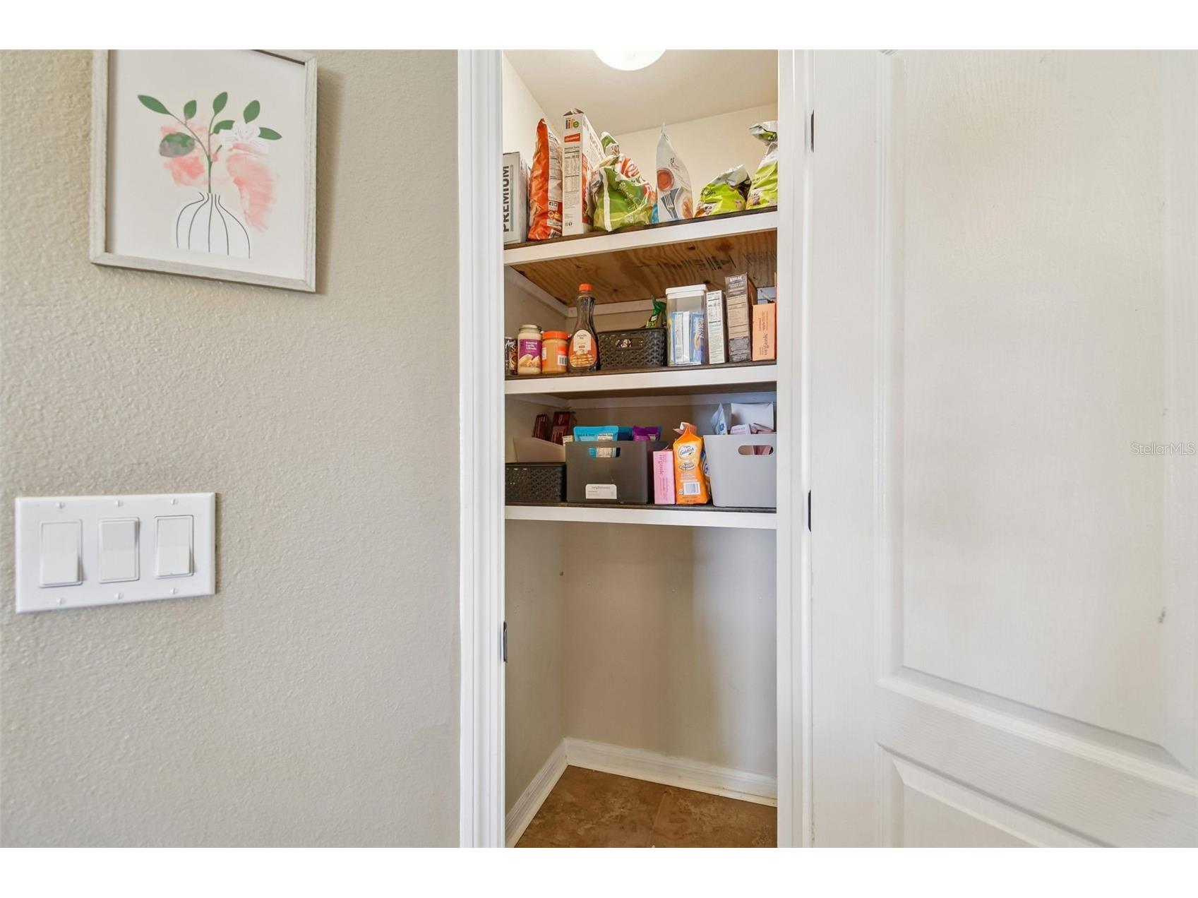 11528 Andy Drive Riverview FL 33569 TB8474616 image13