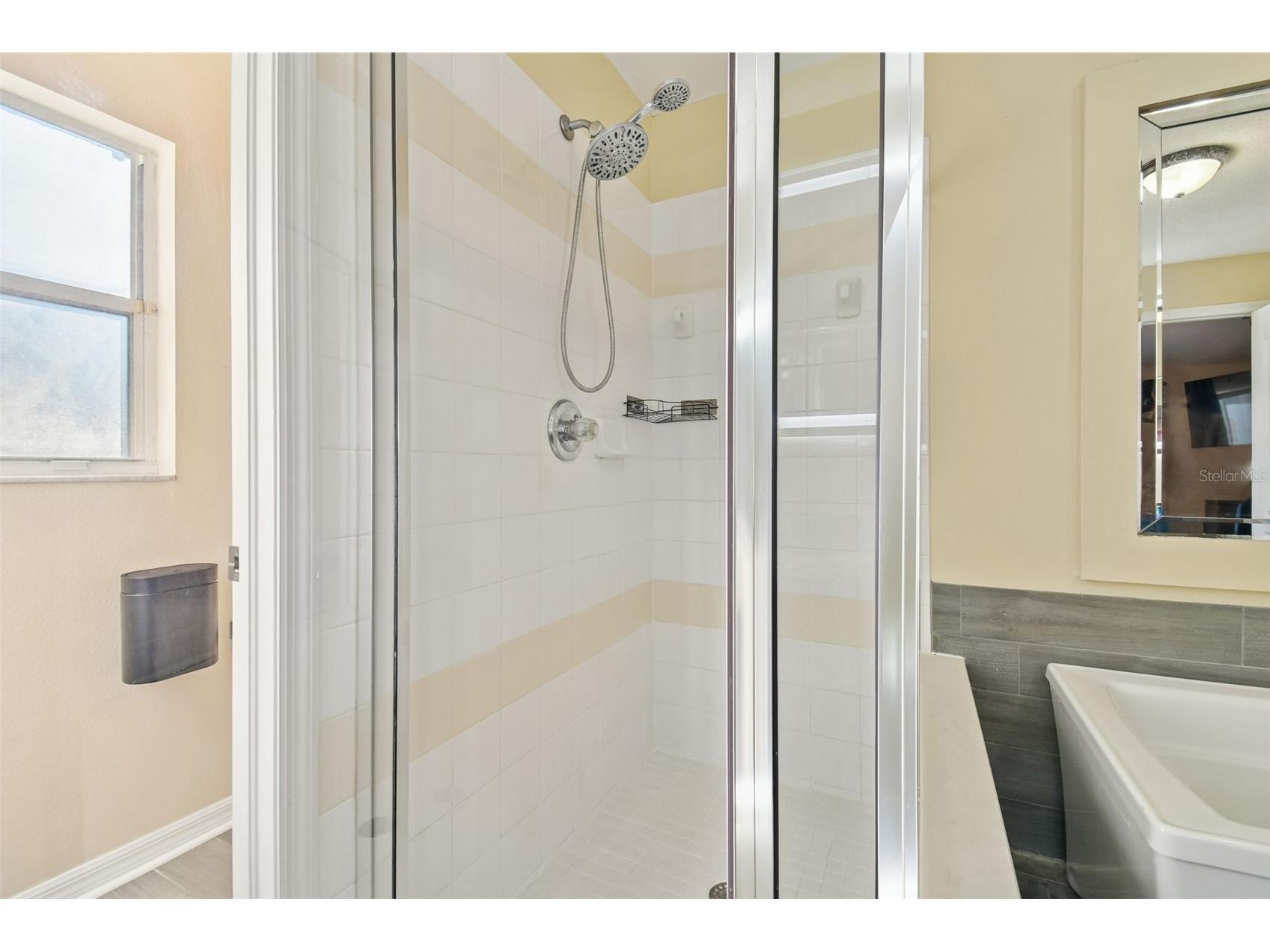 11528 Andy Drive Riverview FL 33569 TB8474616 image33